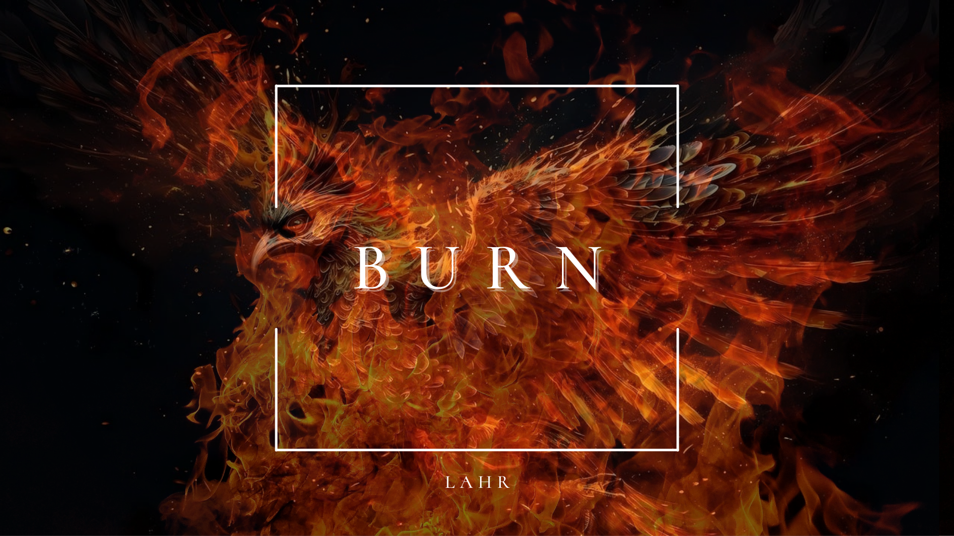 Burn Video - © Lindsey Hon Rubendall